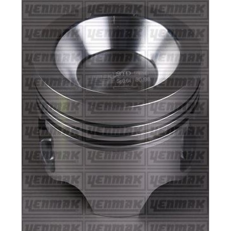 YENMAK 31-04158-025 | PISTON+SEGMAN 0.25 (81.00MM) R9 R11 FLASH R21 MANAGER 1.7 (F2N)