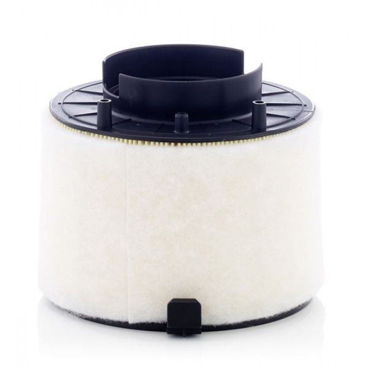 MANN-FILTER C17009 | HAVA FILTRESI AUDI A4 07-15, A5 09-17, Q5 08-