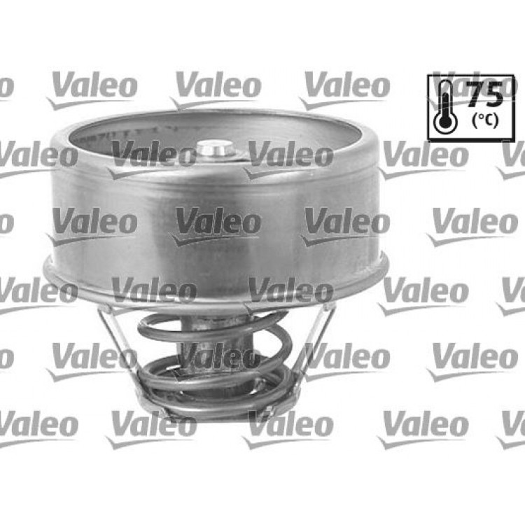 TERMOSTAT PEUGEOT 404