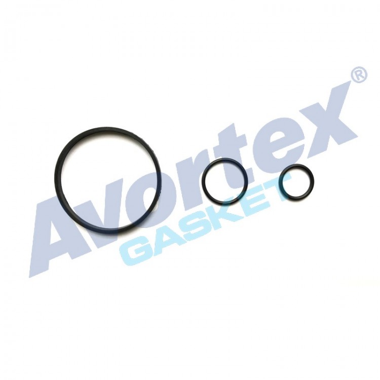 AVORTEX 418 | YAĞ SOĞUTUCU LASTİĞİ TAKIMI 418 CLIO 1.5DCI