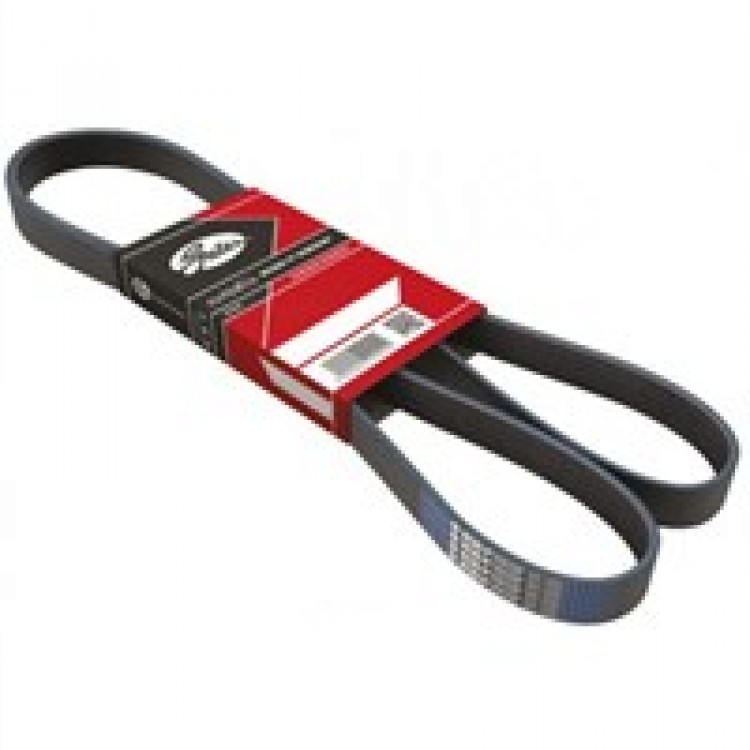 GATES 5PK1243 | KANALLI V.KAYIŞI 5PK1243 58384 VECTRA-C 1.6 16V (02-) KLİMALI GATES 5PK1243 | KANALLI V.KAYIŞI 5PK1243 58384 VECTRA-C 1.6 16V (02-) KLİMALI