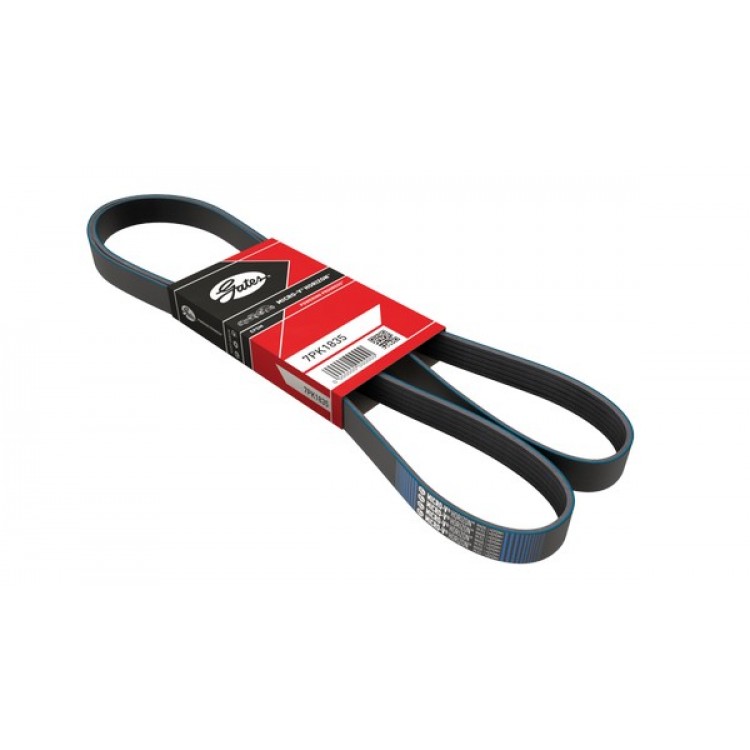GATES 6PK913 | KANALLI V.KAYIŞI 6PK913 DUCATO 2.8 D TD (98-99) BOXER